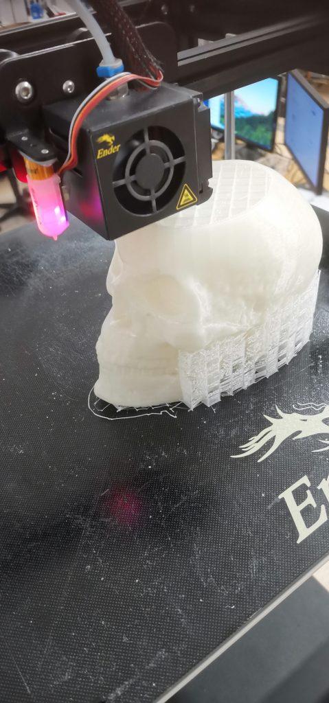 3D-Tulostettu kallo